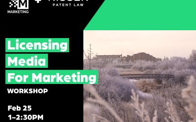 Home - 2025 Visual Style 11 Licensing Media for Marketing